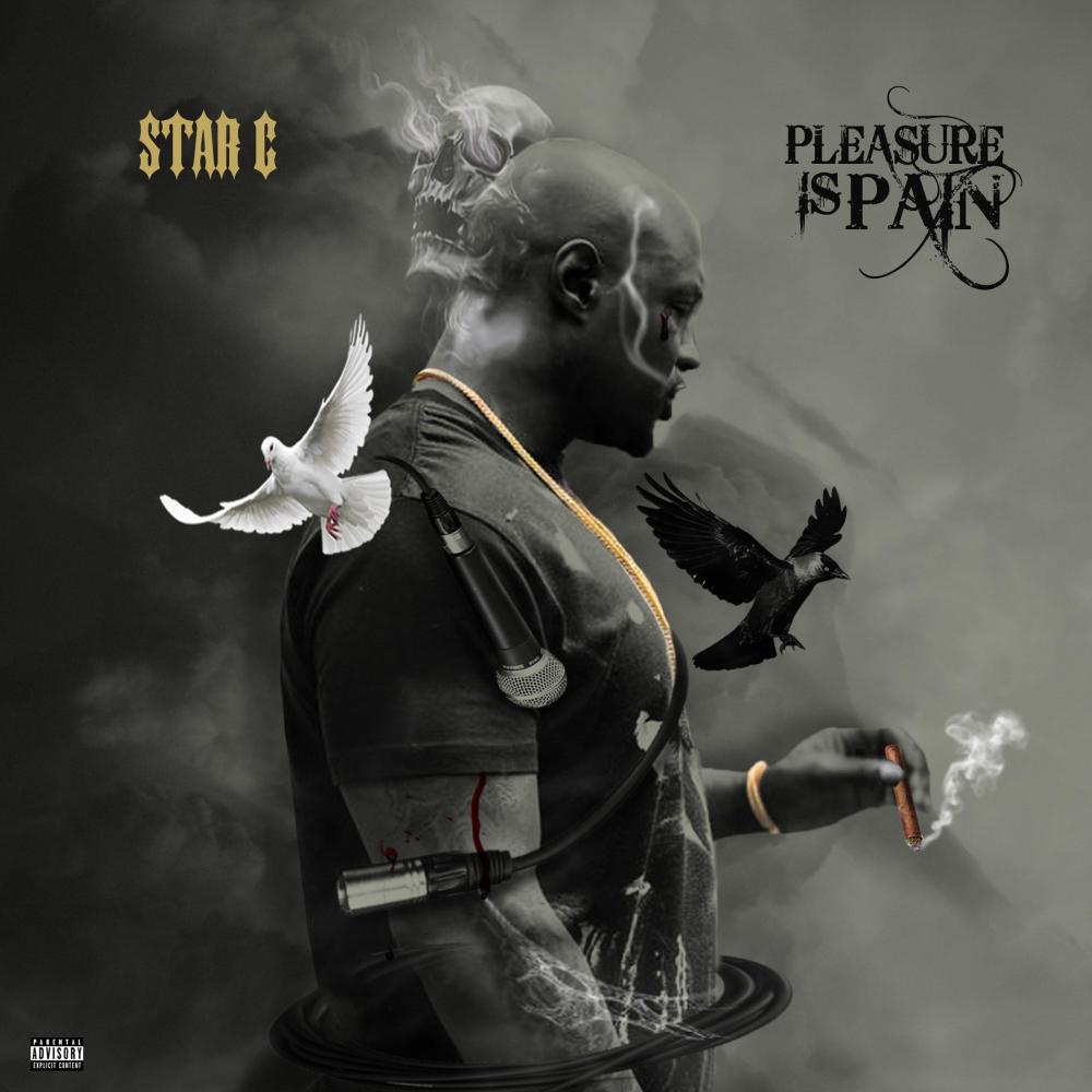 PLEASURE IS PAIN (feat. Lava Rehim) (Explicit)