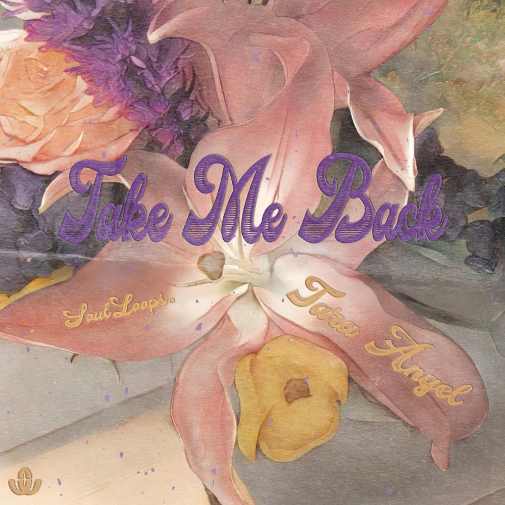 Take Me Back (feat. Tara Angel)