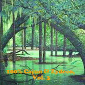 收聽Joe's Acadians的Il y a pas la claire de lune歌詞歌曲