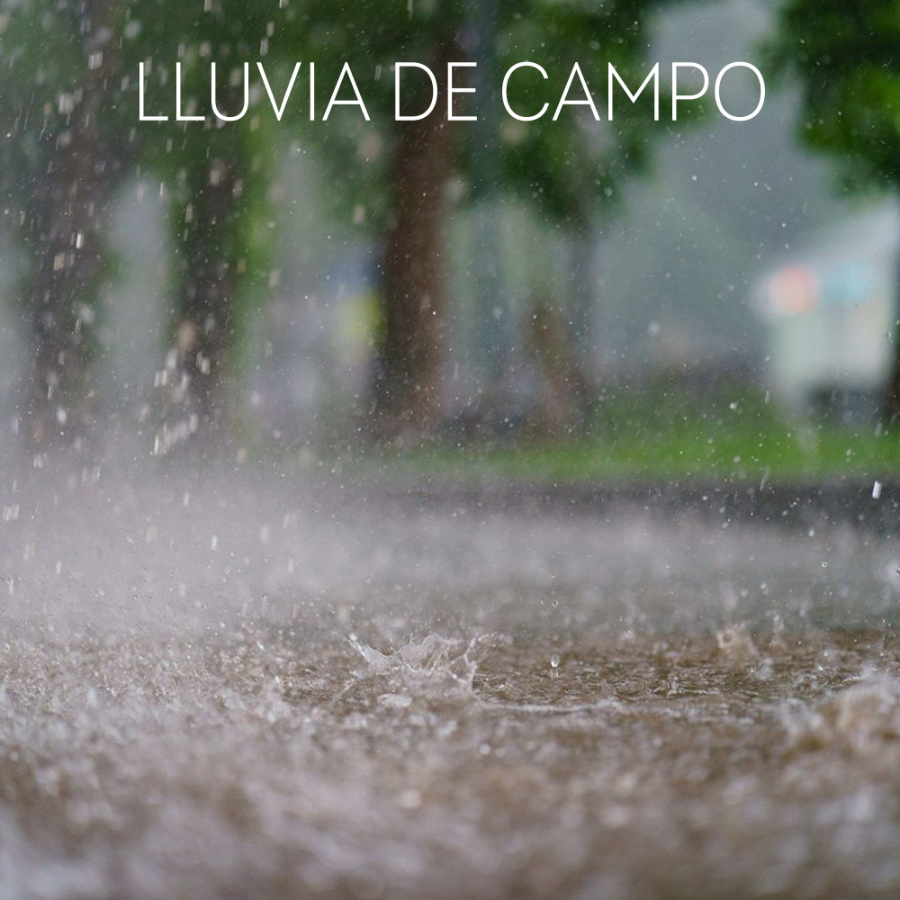 Lluvia de Campo