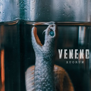 Listen to Más madera song with lyrics from Manifa