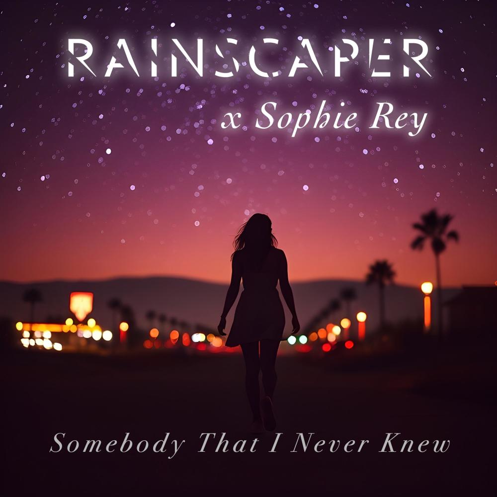 Somebody That I Never Knew