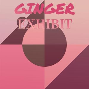 อัลบัม Ginger Exhibit ศิลปิน Various Artists