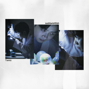 Album ㄸㄸㄸㄸ from Tamiz