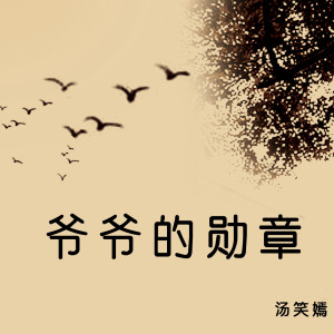 Album 爷爷的勋章 from 汤笑嫣