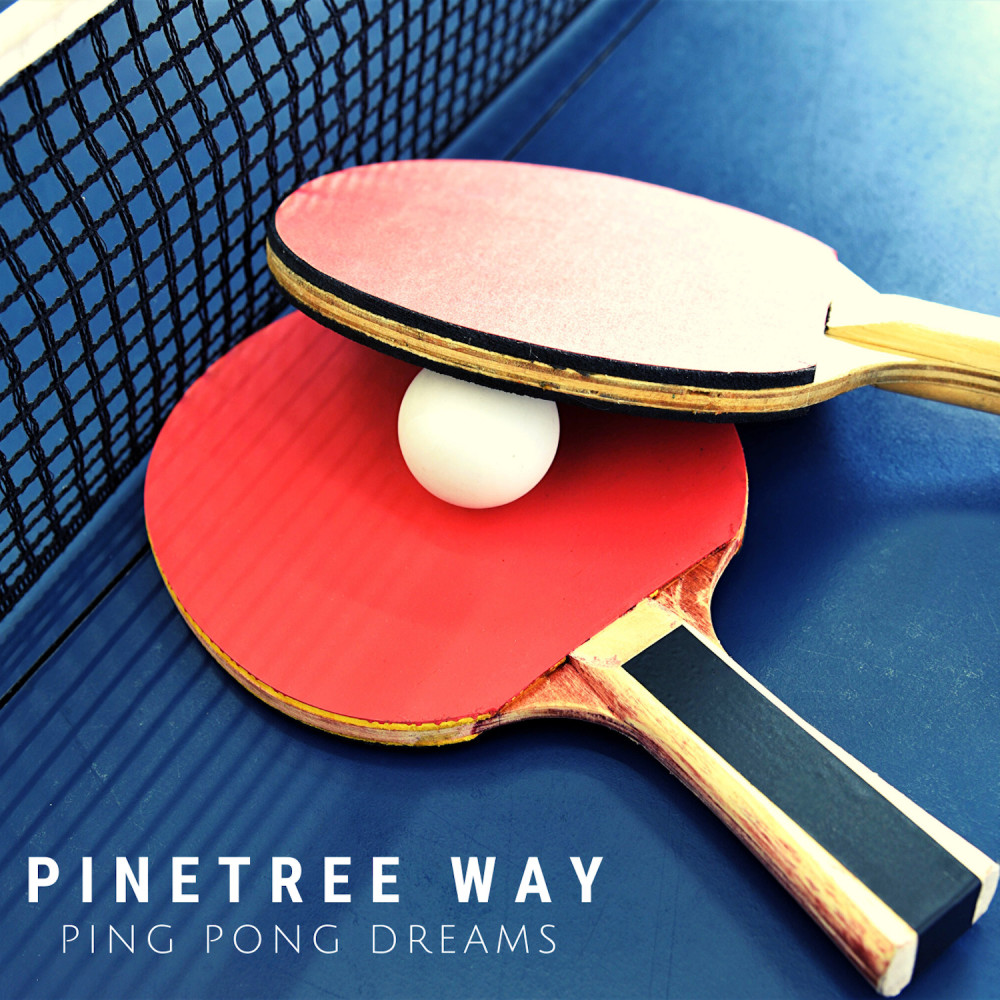 Solitaire Ping Pong Ball