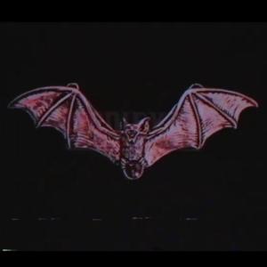 ดาวน์โหลดและฟังเพลง לא וום (Explicit) พร้อมเนื้อเพลงจาก Vommpire