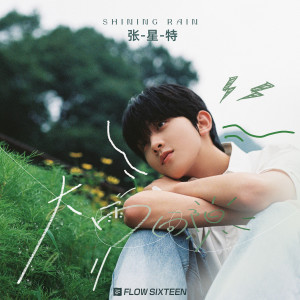 Listen to 大雨向阳 song with lyrics from 张星特