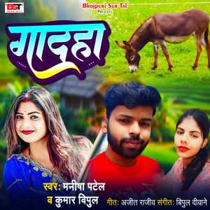 Listen to Gadha song with lyrics from Kumar Vipul