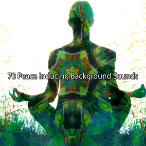 Album 70 Peace Inducing Background Sounds oleh Yoga Tribe