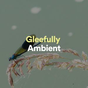New Age的专辑Gleefully Ambient