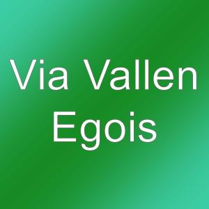 收听Via Vallen的Egois歌词歌曲