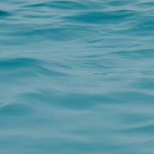 收聽צוקוש的סנבנדטו歌詞歌曲