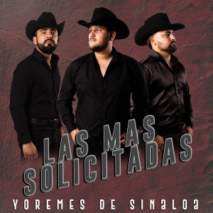 Listen to Loco Enamorado song with lyrics from Yoremes De Sinaloa