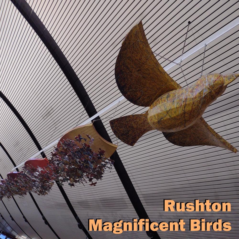 Magnificent Birds