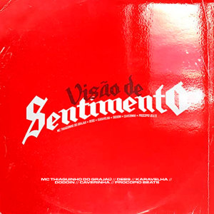 ดาวน์โหลดและฟังเพลง Visão de Sentimento (Explicit) พร้อมเนื้อเพลงจาก ดารานักร้องหลายคน