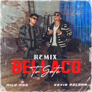 Listen to Tu Gato Bellaco (Remix|Explicit) song with lyrics from Milo Mae
