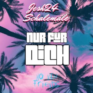 Album Nur für Dich oleh Jesh24