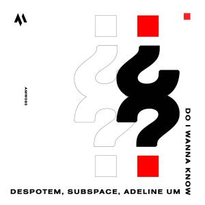 收聽Despotem的Do I Wanna Know歌詞歌曲