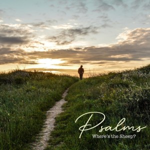 ดาวน์โหลดและฟังเพลง Unfailing Love (Psalm 13) พร้อมเนื้อเพลงจาก Where's the Sheep?
