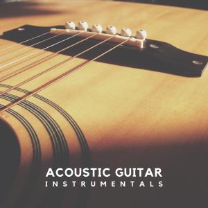 Chris Mercer的專輯Acoustic Guitar Instrumentals