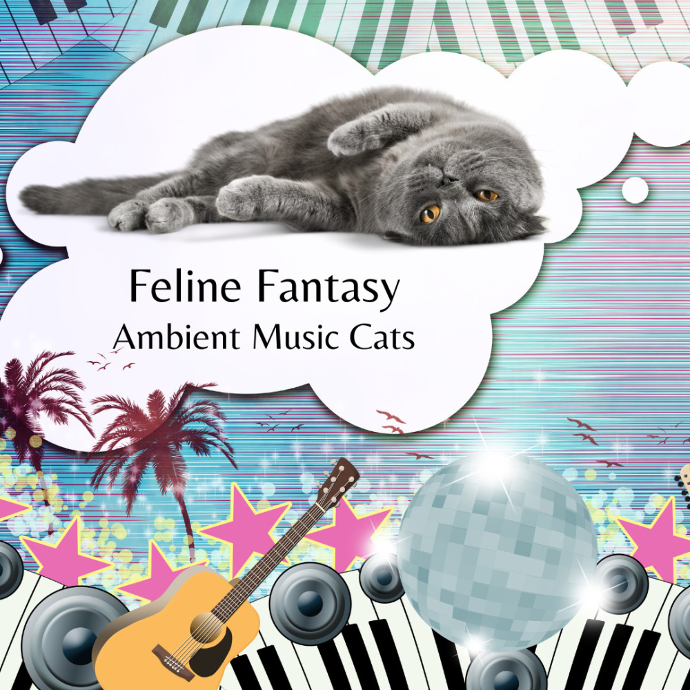 Ambient Music Nap Cozy