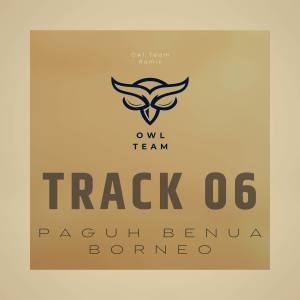 Owl_Team的专辑Paguh Benua Borneo Pargoy (Instrument)