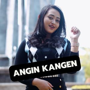 Shalsa Savira的專輯Angin Kangen