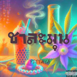 Listen to ชาละมุน (Explicit) song with lyrics from PITTAYA