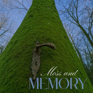Album Moss and Memory from Celtic Chillout Relaxation Academy