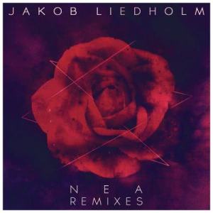 ดาวน์โหลดและฟังเพลง NEA (Steerner Remix) พร้อมเนื้อเพลงจาก Jakob Liedholm