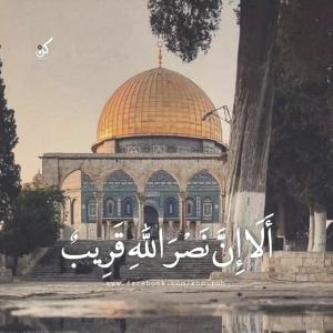 Album Ya Ummati from Ibrahim Sam