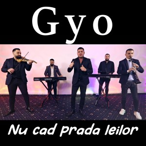 Listen to Nu cad prada leilor song with lyrics from Gyo