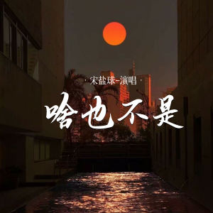 收聽宋鹽球的啥也不是 (伴奏)歌詞歌曲