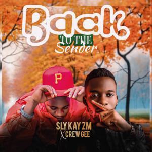 Album Back to the Sender from Sly Kay Zm