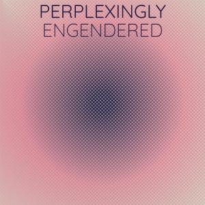 Various Artists的專輯Perplexingly Engendered