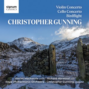 Christopher Gunning的專輯Violin Concerto: II