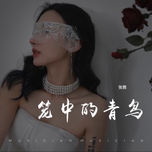 Listen to 笼中的青鸟 (完整版) song with lyrics from 张茜