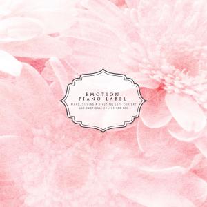 Various Artists的专辑Sensibility New Age Collection to Play Love