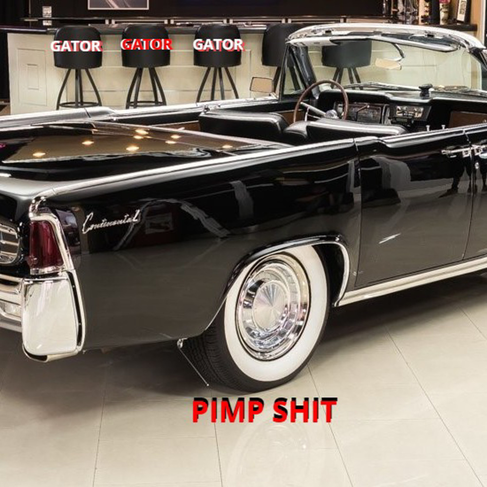 Pimp **** (Explicit)