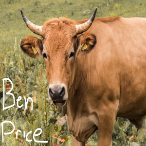 Ben Price的專輯Brown Cow