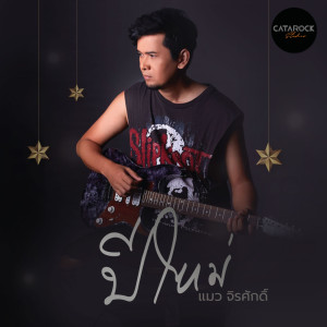 ดาวน์โหลดและฟังเพลง ปีใหม่ พร้อมเนื้อเพลงจาก แมว จิรศักดิ์