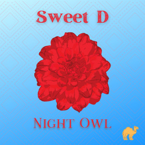Album Night Owl from 