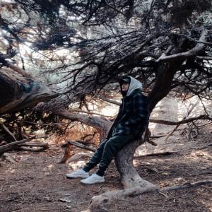 Album Worst Had My Eyes (Explicit) from Jipp
