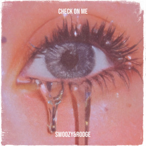Listen to Check on Me (Explicit) song with lyrics from Swoozy