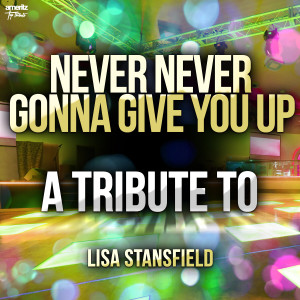 ดาวน์โหลดและฟังเพลง Never Never Gonna Give You Up พร้อมเนื้อเพลงจาก Ameritz Top Tributes
