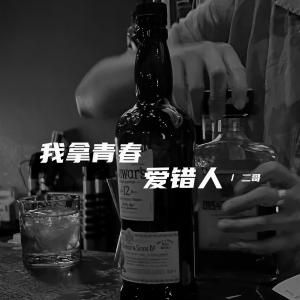 Album 我拿青春爱错人 (DJ阿泽版) from 二哥