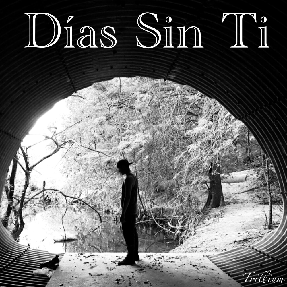 Días Sin Ti