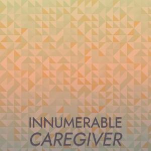 Album Innumerable Caregiver from Various