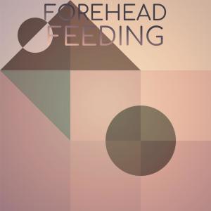 Dengarkan Forehead Feeding lagu dari Bini Giora dengan lirik